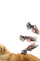 Set di accessori universale Dyson per animali domestici – cani e gatti